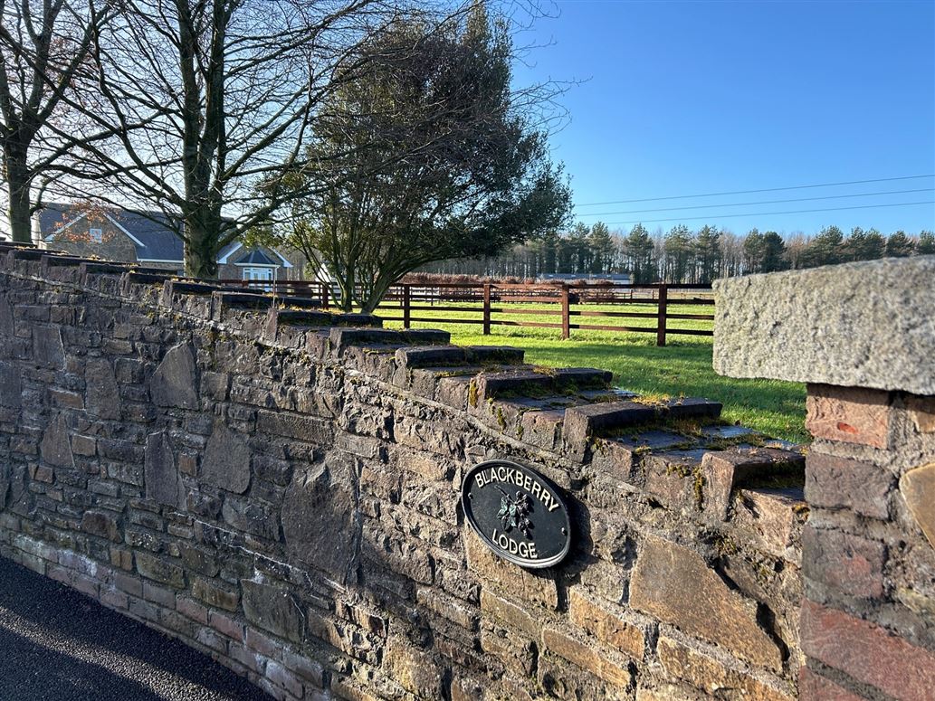 Blackberry Lodge on 3 Acres, Newtown, Rathasker Road, Naas, Kildare